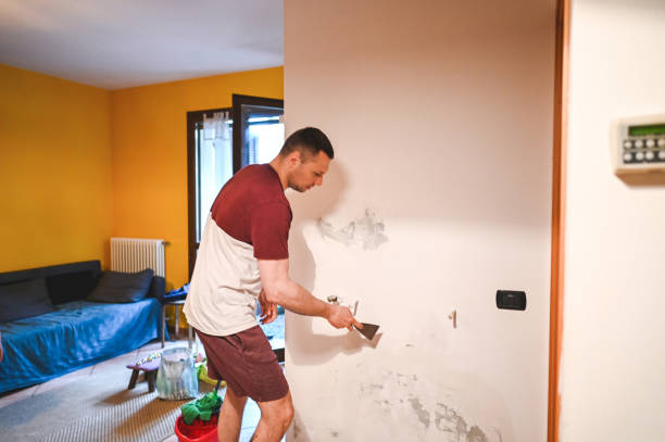 Best Crawl Space Mold Removal  in Three Rivers, MI