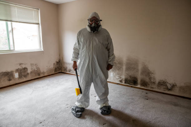 Home Mold Removal in Three Rivers, MI